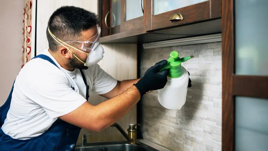 Person spraying Liquid