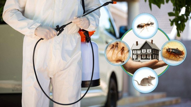 Pest Control services with spray machine