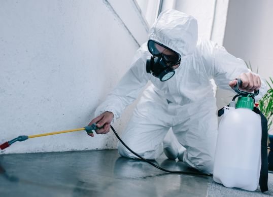 pest control in nagpur