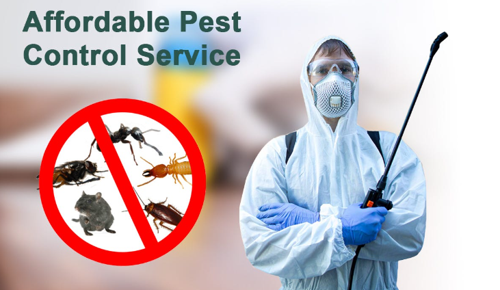 Affordable Pest Control Services in nagpur