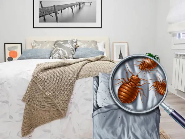 Bed bug treatment in nagpur