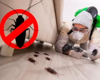 Cockroach control in nagpur