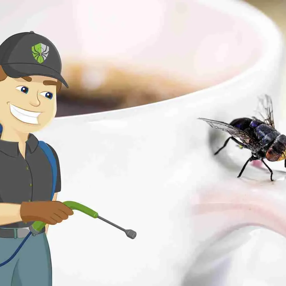 Flies pest control in nagpur