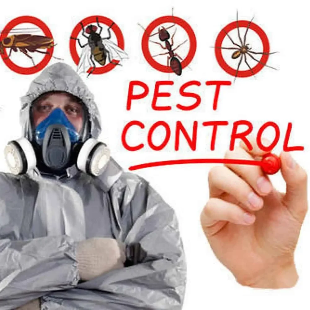 Pest control service in nagpur