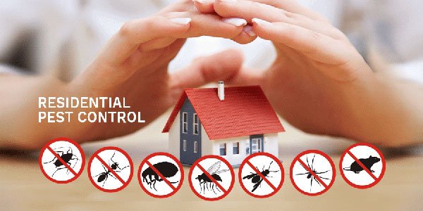 Residential Pest Control in nagpur