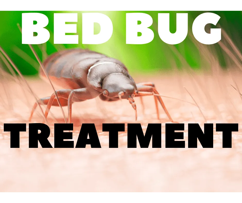 Bed bug treatment in nagpur