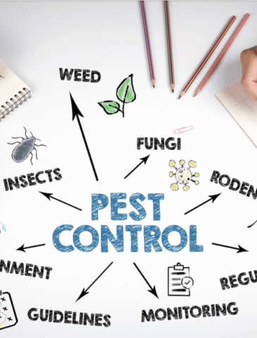 Pest control service in nagpur
