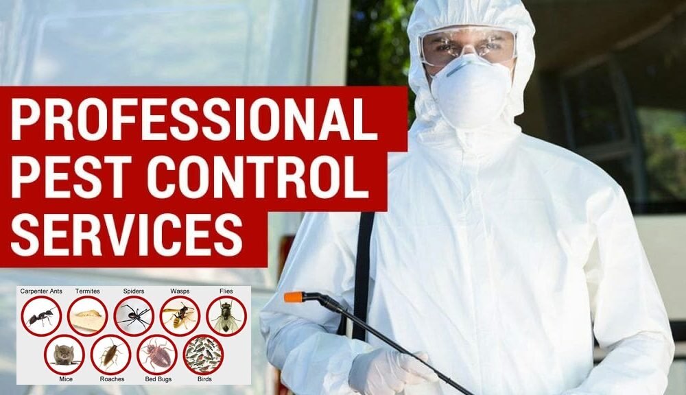 professional-pest-control services in nagpur
